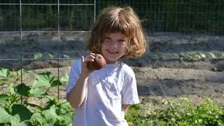 2016 Potato Harvest