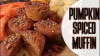 PROTEIN PUMPKIN SPICE MUFFIN RECIPE