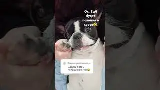сегодня Китай а завтра Корея