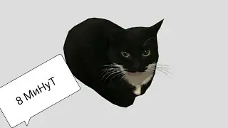 maxwell cat 8 минут!