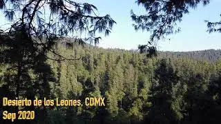 Desierto de los Leones road cycling, Mexico City DJI Mavic Mini (2.7k upscaled to 4K)
