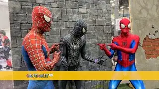 Kelowna ComiCon fills MNP Place