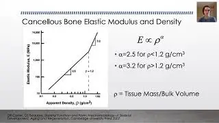 ENGB 420 - Bone Biomechanics - Bone Mineral Density
