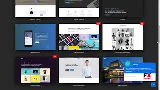 Folie The WordPress Website Builder      Alf Kelsey