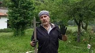 Aggiornamento Maggio 2022 alberi da frutto allo Spazio Ubuntu