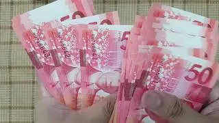 [43] ASMR MONEY SORT & COUNT CHRISTMAS SPECIAL - Let's Sort and Count 17,000.00 Pesos (PHP)