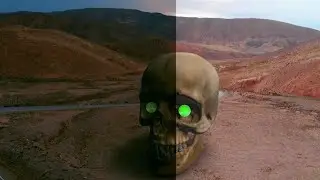 3D Skull Composite in Element 3d