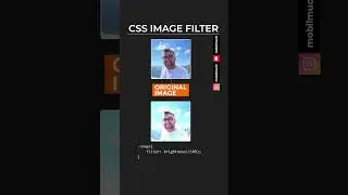 CSS Image Filter Brightness 