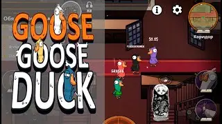 Можно ли быть амогусом три катки подряд? Goose goose duck