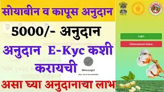 कापूस व सोयाबीन अनुदान योजनेचा लाभ कसा घ्यायचा | Soyabean Kapus Anudan Ekyc Process | सोयबीन ekyc