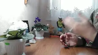 №28 Ответы на вопросы❗ Немного из личного.