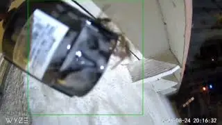wasps on security camera get sprayed
