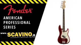 Bassi Fender American Professional in Offerta!