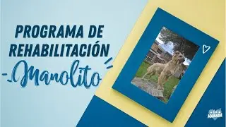 COMO SUPERAR LA INSEGURIDAD😰 & REACTIVIDAD 😡