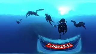 [360' VR] 팔라우 블루코너 스쿠버 다이빙 (SCUBA Diving At Blue Corner, Palau)