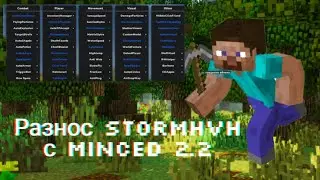 😁РАЗНОС STORMHVH С MINCED 2.1😁 | 😱СЛИВ КФГ😱