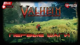 VALHEIM - ПЕРВЫЕ ШАГИ