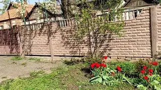 Мы опять с подругой не скучаем.