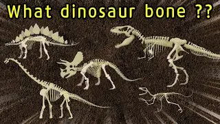 Dinosaur bone puzzle game | Find the dinosaur bones | What did the dinosaurs eat? |공룡의 뼈를 찾아라 |딩동TV