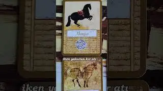 KATİNA AT KARTLARI (Tarot Eğitimleri)   #tarot  #katina