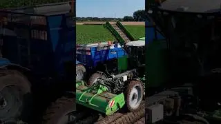 Potato Harvest #avr #potato #newholland #shorts #tractor #farming #drone #subscribe #new #aardappels