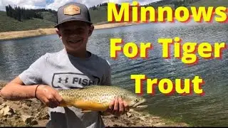 Exploring Utah Mountain Lakes Fishing for Big Tiger Trout #shorts