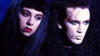 Dead Or Alive   Something In My House Single