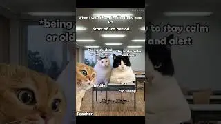 Today you have to study hard p2 | Pet's Life