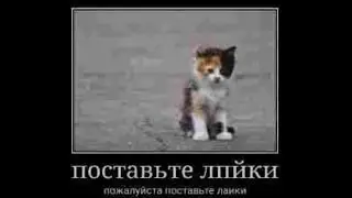 Разнос клана NN | Dynast.io