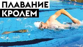 Как научиться плавать техничным кролем, чтобы не тонули ноги. Тест + 5 распространенных ошибок