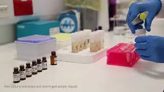 Ergot Alkaloids Step By Step AUG23
