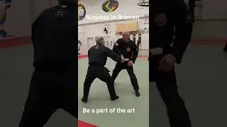 Ninjutsu in Bremen unsere Form des Kihon Happo. #martialarts #bremen #weapons #fight