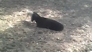 Дружба
