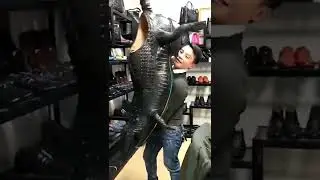 Gigantic Crocodile 🐊 Shoe 👟💥