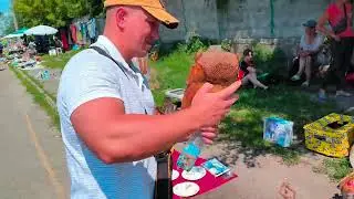 КОБРА в БУТЫЛКЕ/икона в СЕРЕБРЕ/барахолка vs НИВКИ