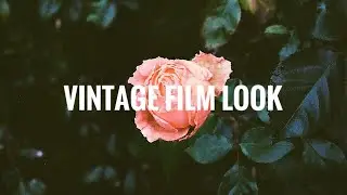 The Best 35mm Films for the “Vintage” look