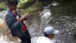 Taranak lamo