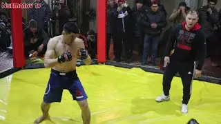Новый бой выиграл Узбекский боец. Кучли бой болди