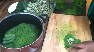 Mina's Basket Case 3: Foraged Wild Garlic Mustard Dolmeh