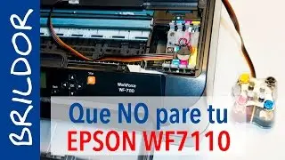 Sublimación CONTINUA con el CISS EPSON WF 7110