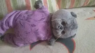 О том как Басик учится 🐱