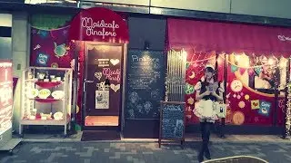 PARADISUL ANIMEURILOR (CARTIERUL AKIHABARA)
