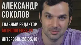 Александр Соколов (Антропогенез.ру). Интервью, 28.05.2016