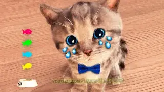 Little Kitten Preschool Adventure Education Games iOS Kids Play Fun Cute Kitten Pet Care Learn 