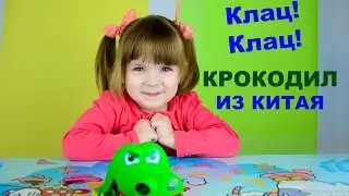 Crocodile from China Crocodile Dantist Crocodile Challenge Funny kids