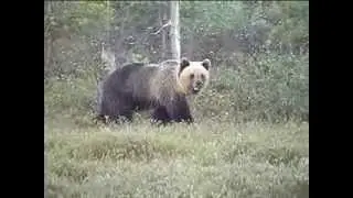 ХМАО Радужный  