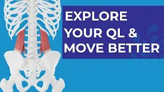Explore your QL