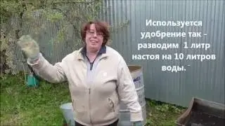 Удобрение из травы