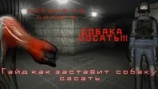 как заставить scp COCAT? гайд 2023