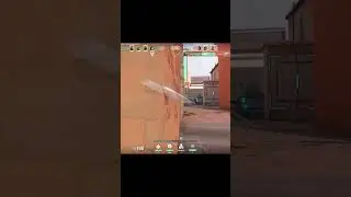 Valorant Champion Phantom or Vandal